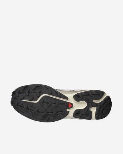 Salomon Xt-6 | Grey | Size: In Multi