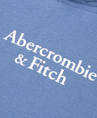 Abercrombie Boys' Essentials Patchwork Pullover Hoodie In Blue
