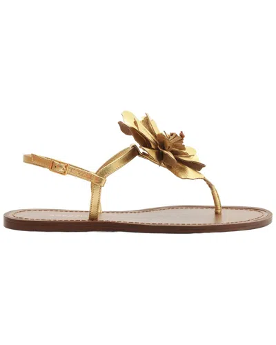 Arezzo Daisy Leather Sandal In Multi
