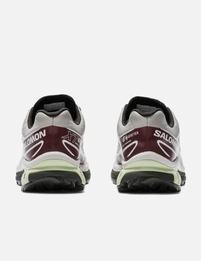 Salomon Advanced Xt-6 Gore-tex In Multi