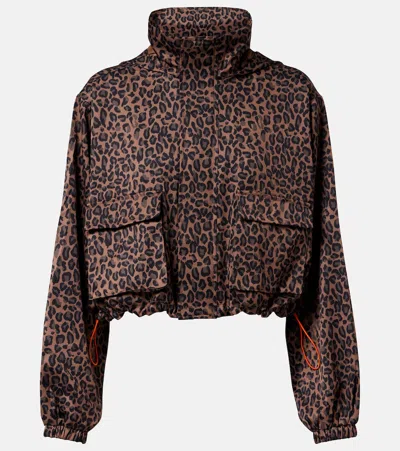The Upside Ludlow Ace Leopard-print Track Jacket In Brown