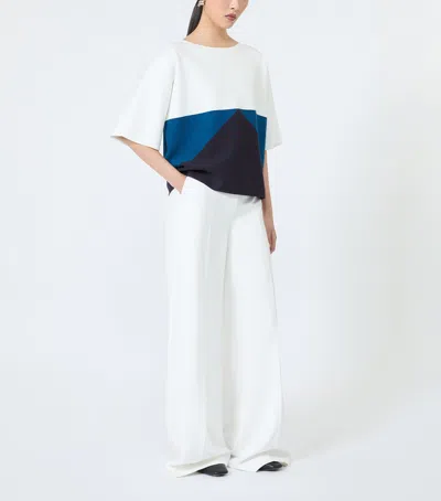 Max Mara Relaxed T-shirt In Blue
