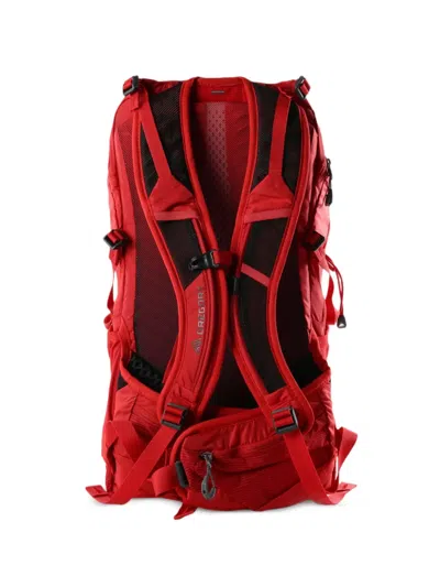 Gregory Miko 20 Backpack In Red