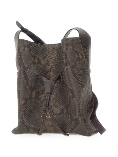 Gianni Chiarini Sienna Python-print Leather Shoulder Bag In Brown
