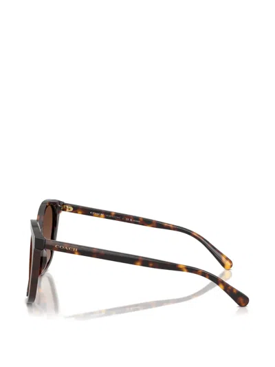 Coach Square-frame Sunglasses In Brown
