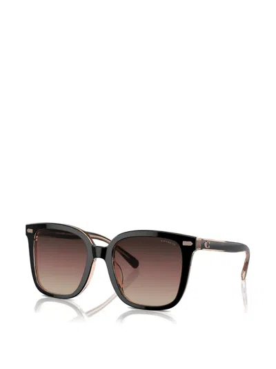 Coach Square-frame Sunglasses In Brown