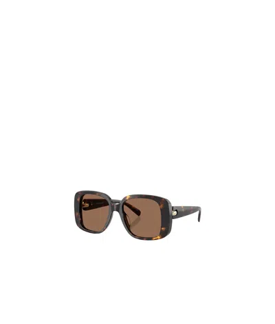 Tory Burch 53mm Gradient Square Sunglasses In Brown