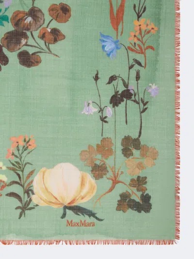 Max Mara Patterned Scarf In Transparent