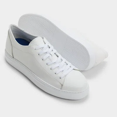 Aldo Hawke In White