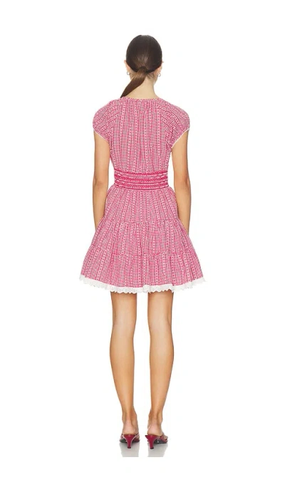 Saylor Asterid 원피스 In Pink