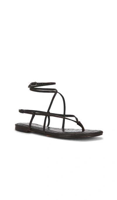 Sam Edelman Clarra 샌들 In Brown