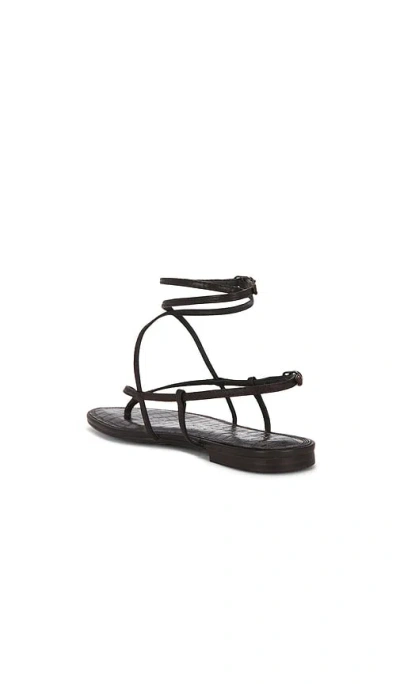 Sam Edelman Clarra 샌들 In Brown