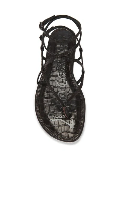 Sam Edelman Clarra 샌들 In Brown