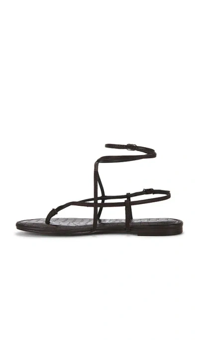 Sam Edelman Clarra 샌들 In Brown