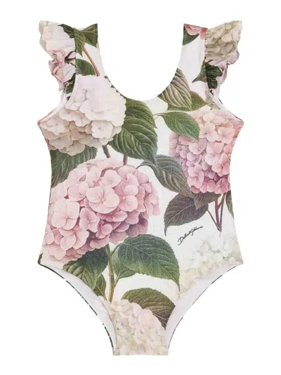 Dolce & Gabbana Hydrangea-print One-piece Swimsuit In Multi