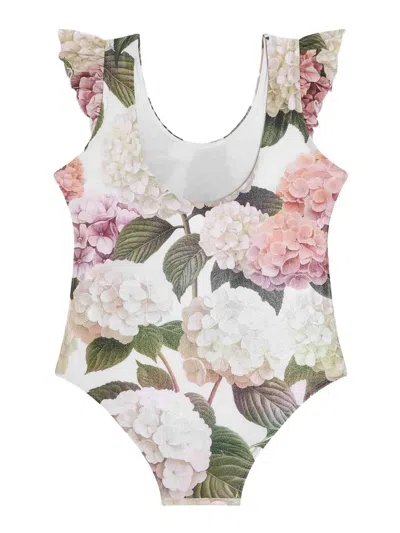 Dolce & Gabbana Hydrangea-print One-piece Swimsuit In Multi
