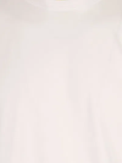 Millenium Pole In White