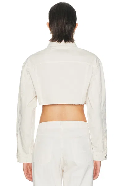 Miu Miu Denim Jacket In White