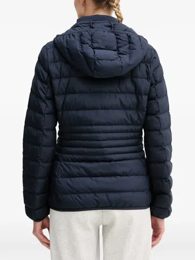 Ea7 Logo-print Padded Jacket In Blue