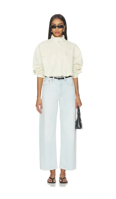 Agolde Arc Jean In Blue