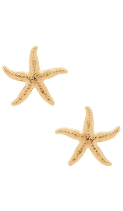 Baublebar Swept Up Starfish Earrings In Burgundy