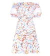 PETER PILOTTO Printed cotton off-the-shoulder dress