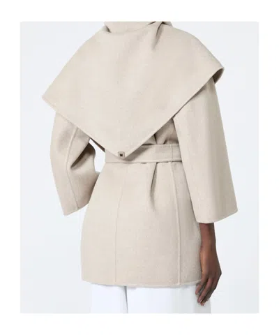 Max Mara Collared Long-sleeved Coat In Brown