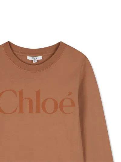 Chloé Logo-print Long-sleeve T-shirt In Brown