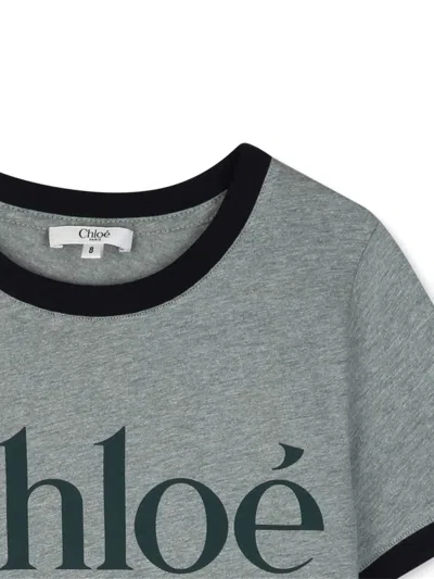 Chloé Logo-print Ringer T-shirt In Brown