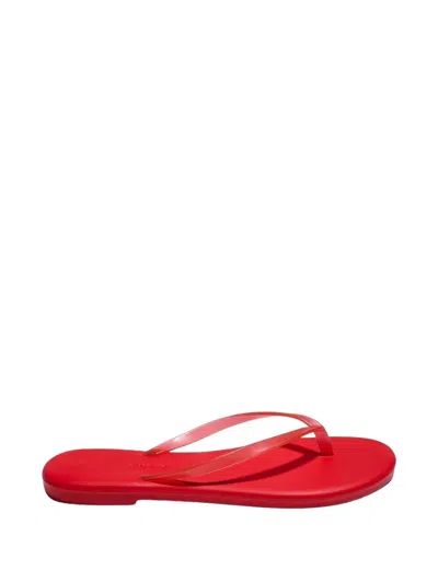 Tkees Aqua Jelly Flip Flops Sol Red