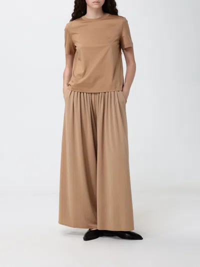 Mm Max Mara Printed Cotton T-shirt In Brown