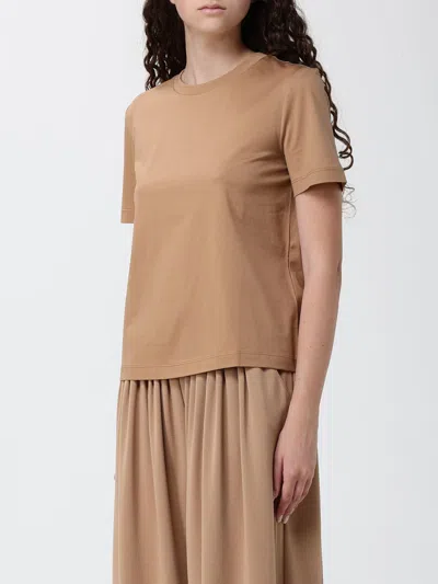 Mm Max Mara Printed Cotton T-shirt In Brown