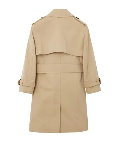 Burberry Long-sleeved Trench Coat In Brown