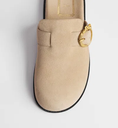 Dior Slingback Mules In Multi