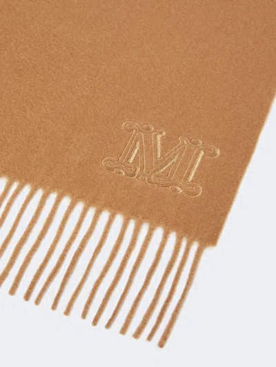 Max Mara Monogram Embroidered Cashmere Stole In Brown