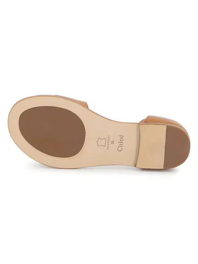 Chloé Sandals In Brown