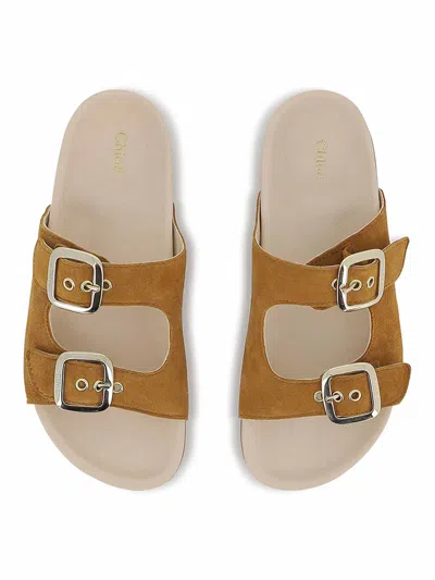 Chloé Sandals In Brown