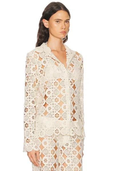 Eliou Gabriel Top In Multi