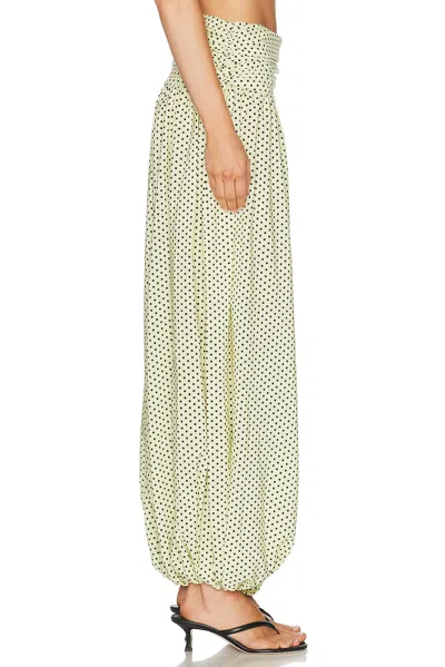 Franoise Nora Pant In Pattern