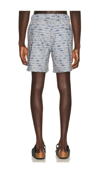 Rails Dane Swim Trunks In Multi