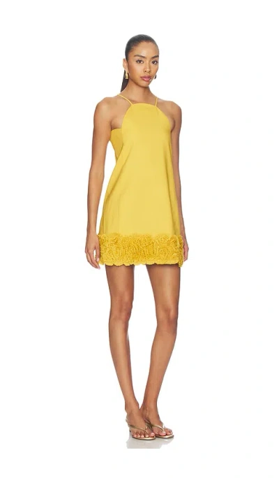 Alexis Merano Dress Honey Gold
