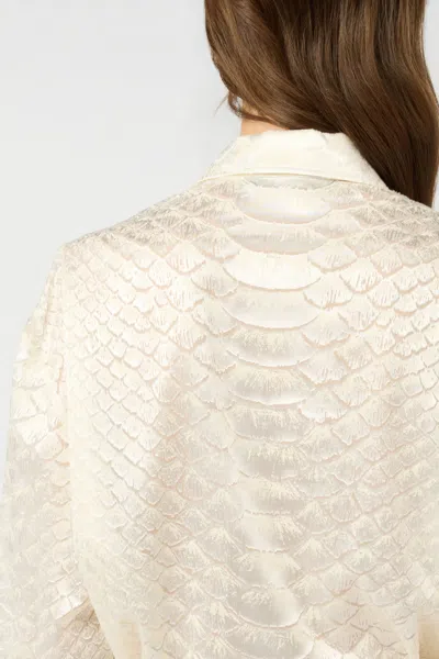 Roberto Cavalli Shirts Light And Natural In Neutral