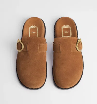 Dior Medallion Mules In Brown