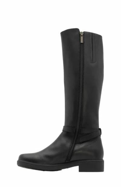 Abeo Compass Tall Boot In Multi