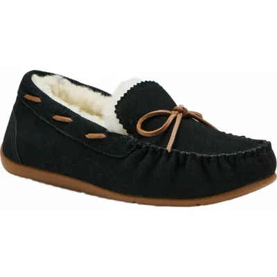 Abeo Amble Bow Slipper In Black