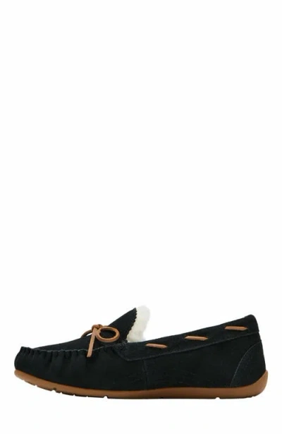Abeo Amble Bow Slipper In Black