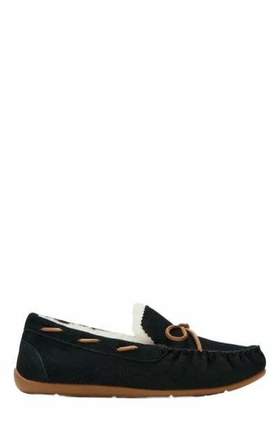 Abeo Amble Bow Slipper In Black