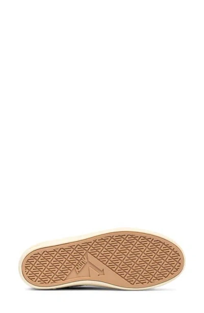 Autry Windscape Low Sneakers In Leopard And Black Suede In Animal Print