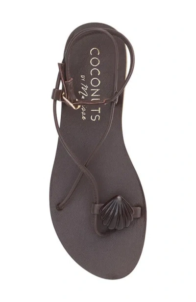 Coconuts By Matisse Cassian Ankle Strap Strap In Brown