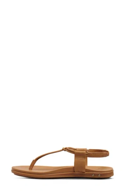 Beek Mango Leather Sandal In Brown